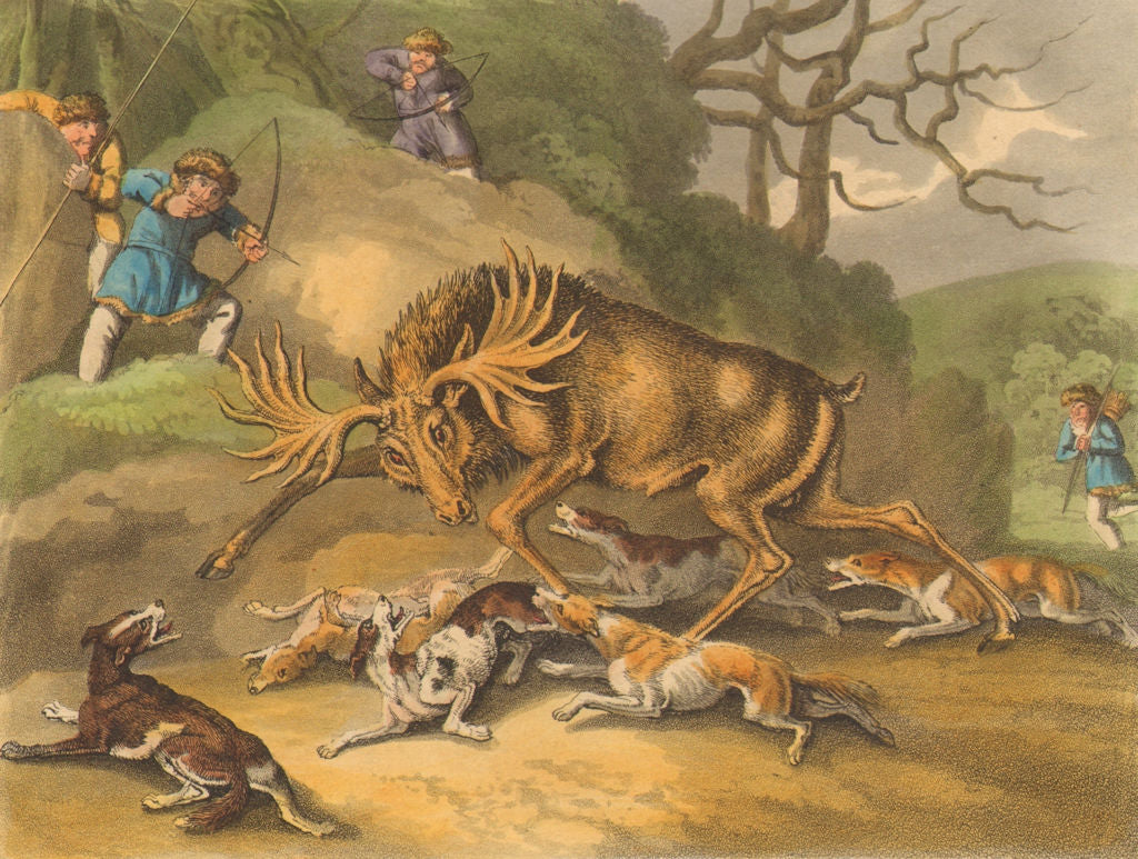 ARCTIC. hunt Elk bow arrows dogs (Field Sports- Edward Orme)  1814 old print